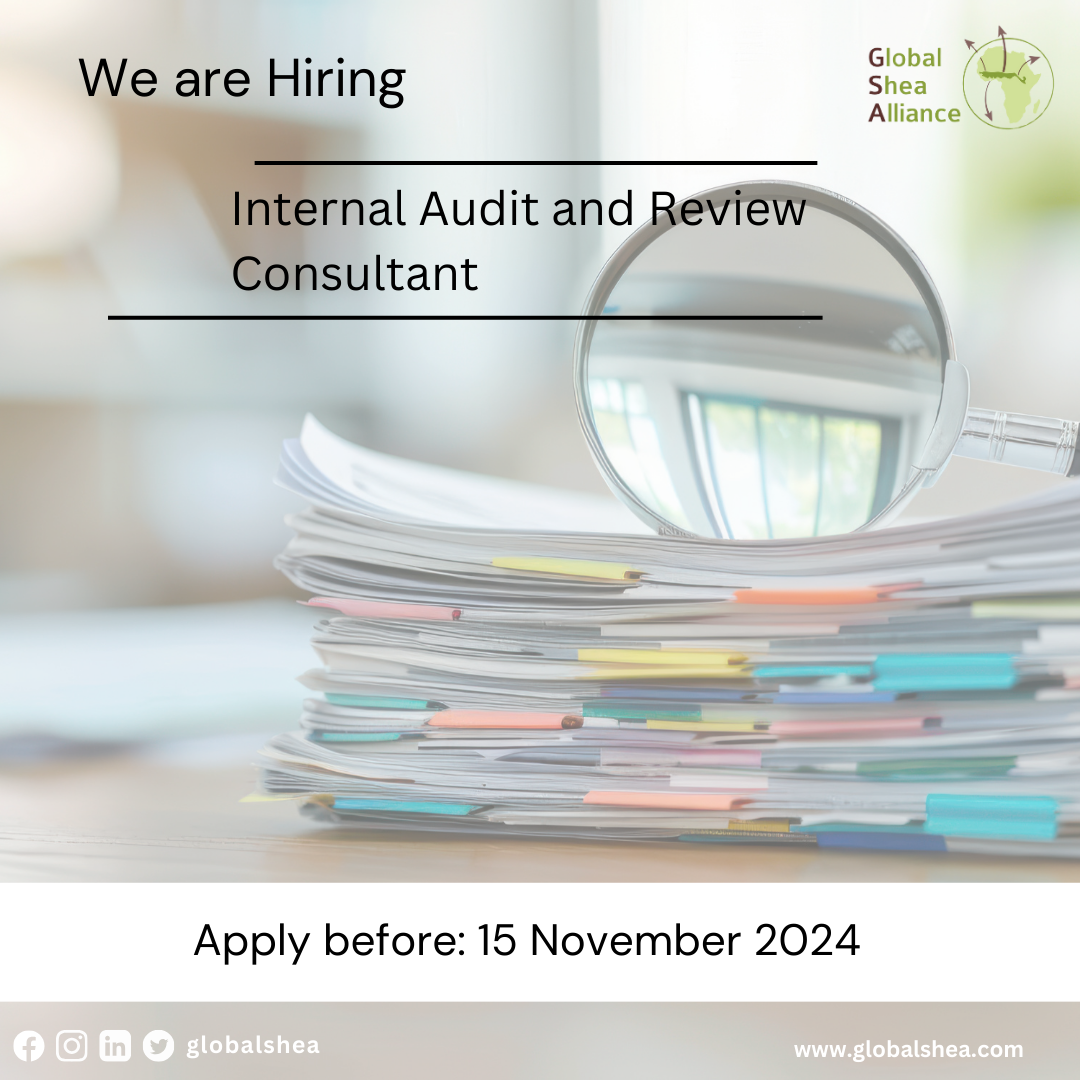 Internal Audit and Review Consultant position